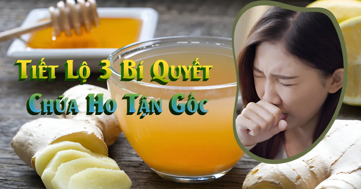 3 Bí Quyết Chữa Ho Tận Gốc từ gừng gió bắc kạn - gunggiobackan