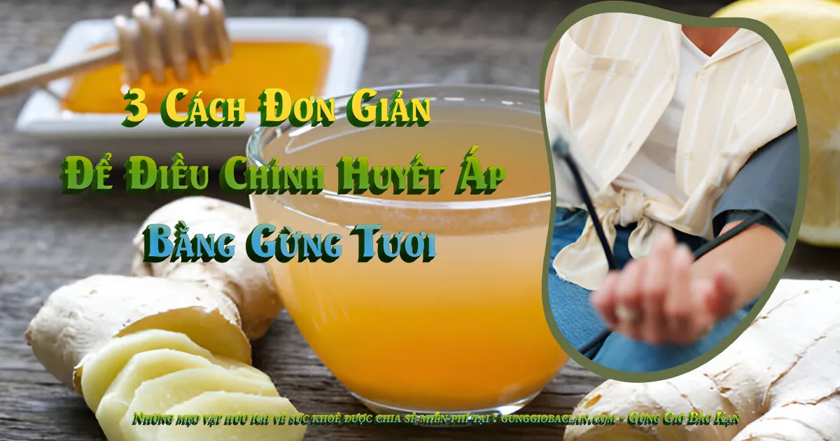3 Cách Đơn Giản Để Điều Chỉnh Huyết Áp - gunggiobackan - gừng gió bắc kạn