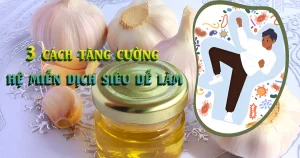 3 cách tăng cường hệ miễn dịch siêu dễ làm - gunggiobackan - gừng gió bắc Kạn