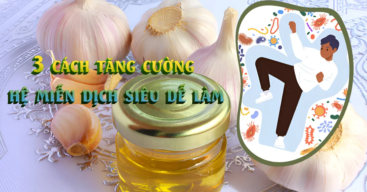 3 cách tăng cường hệ miễn dịch siêu dễ làm - gunggiobackan - gừng gió bắc Kạn
