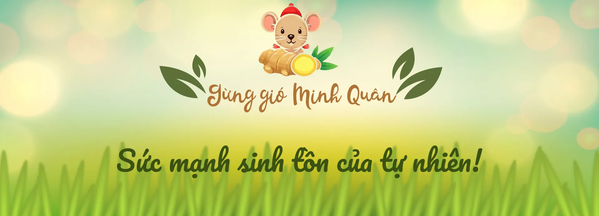 banner 1 của gừng gió bắc kạn