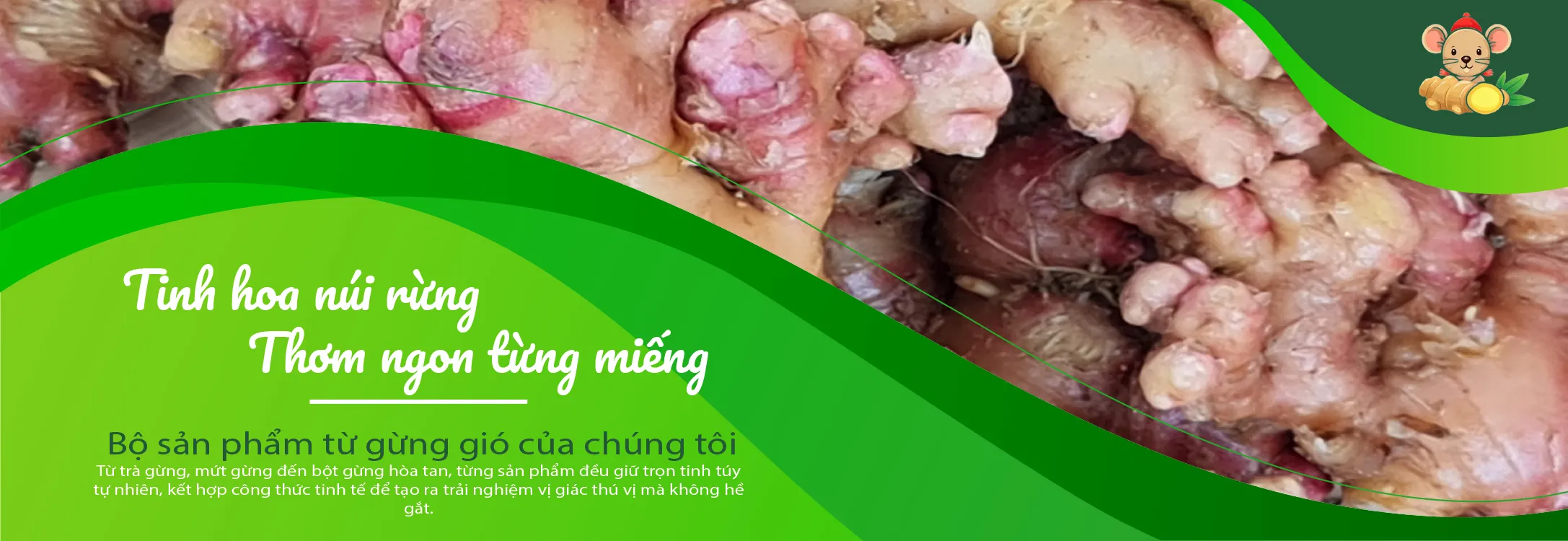 banner 3 của gừng gió bắc kạn