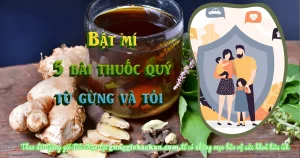 bật mí 5 bài thuốc quý từ gừng và tỏi - gunggiobackan - gừng gió bắc kạn