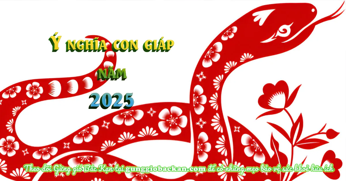 ý nghĩa con giáp năm 2025 - gunggiobackan